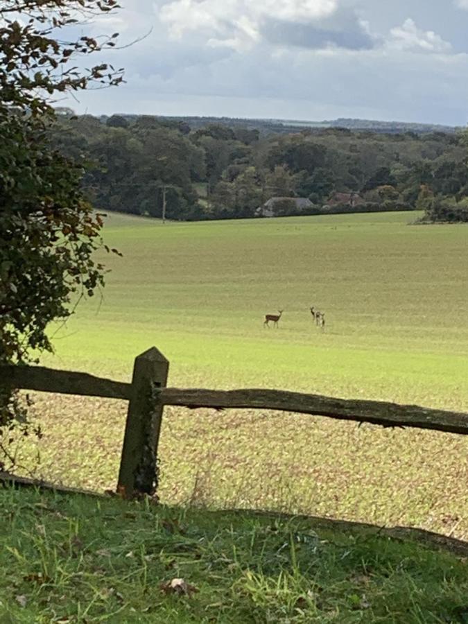 Bootmenders B&B Petersfield Exteriör bild